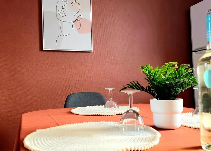 Cosy Chic Au Coeur De Lourdes-wifi-parking