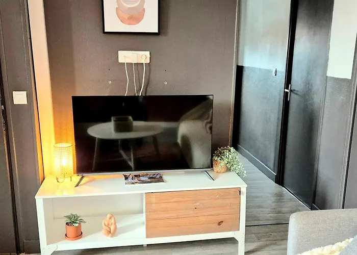 Cosy Chic Au Coeur De Lourdes-wifi-parking Apartmán